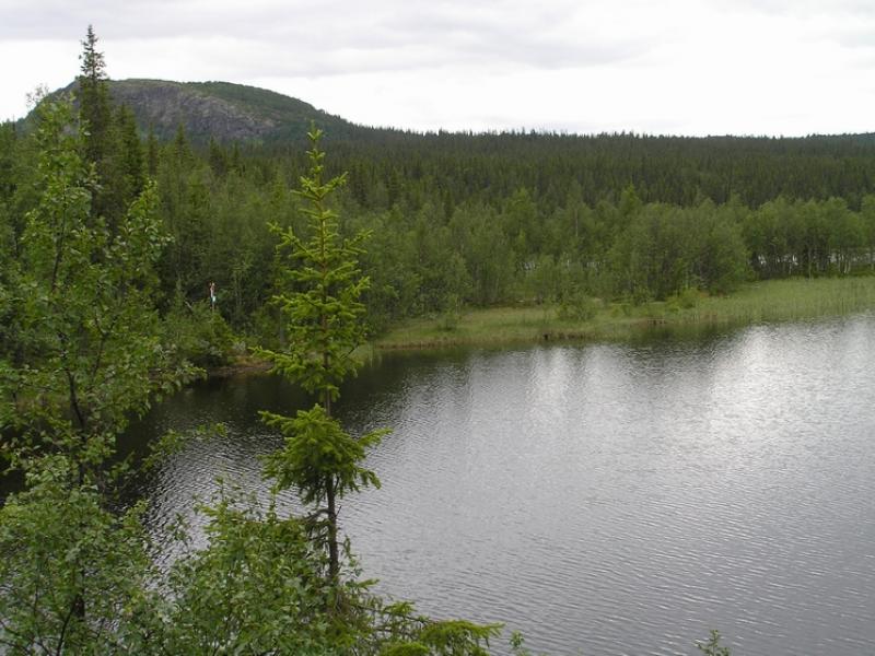 p1010021.jpg