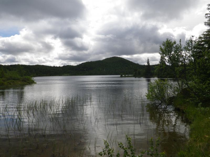 Grubbsjön.JPG