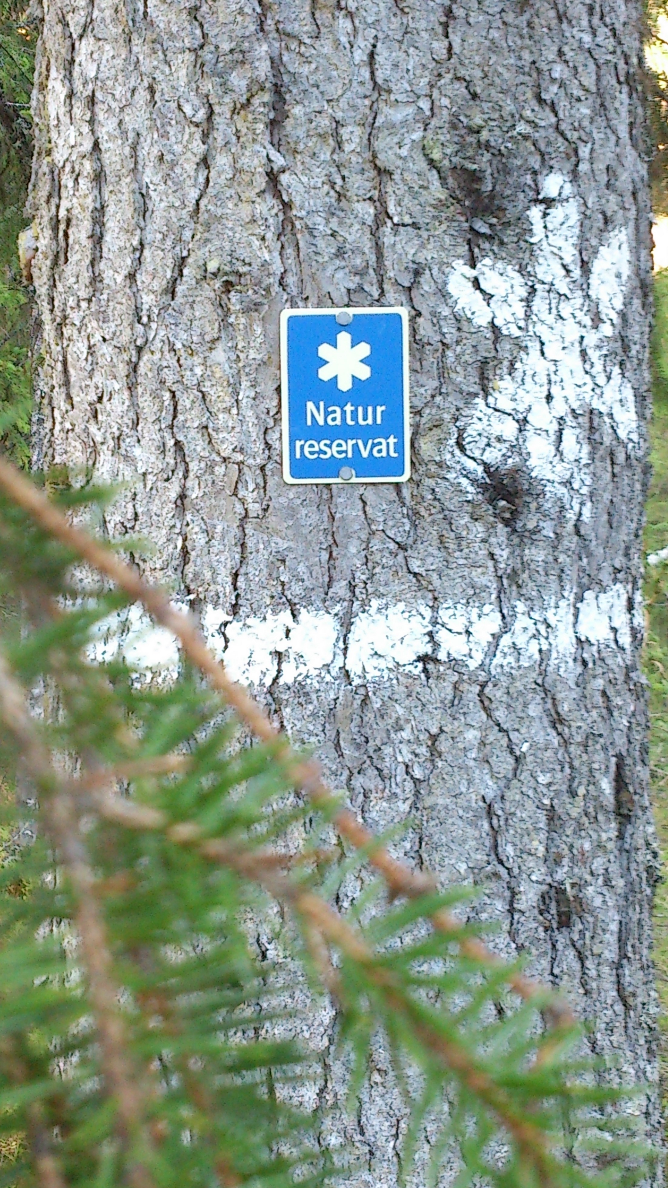 Led Svartsjn-Njaka 1328